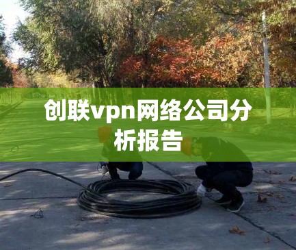 创联vpn网络公司分析报告