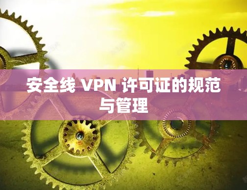 安全线 VPN 许可证的规范与管理