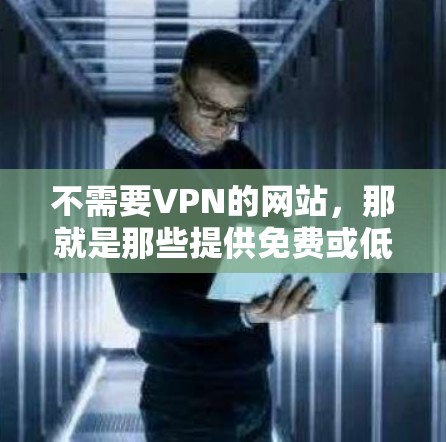 不需要VPN的网站，那就是那些提供免费或低成本访问的网站资源。这些网站通常不使用VPN保护，而是直接提供在线访问，或者通过其他方式让用户直接访问内容。以下是几个推荐的免费网站资源