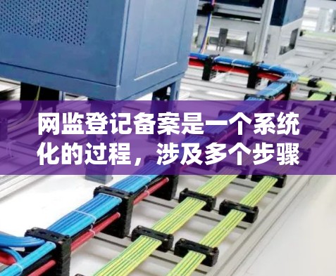 网监登记备案是一个系统化的过程，涉及多个步骤和资源的支持。以下是对该流程的详细总结