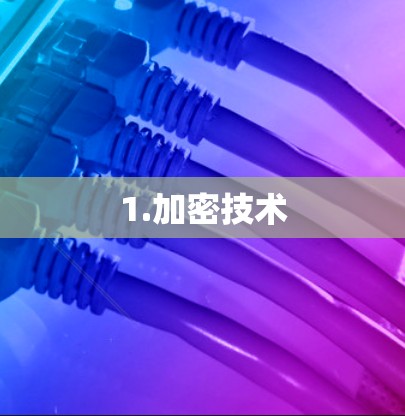1.加密技术
