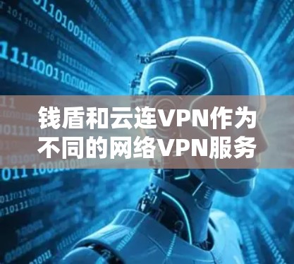 钱盾和云连VPN作为不同的网络VPN服务，各有特点和安全措施，以下是对其安全性的简要分析