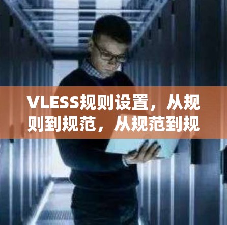 VLESS规则设置，从规则到规范，从规范到规范