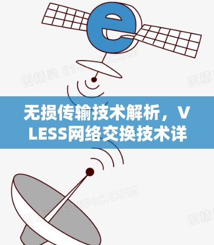 无损传输技术解析，VLESS网络交换技术详解