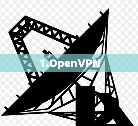 1.OpenVPN