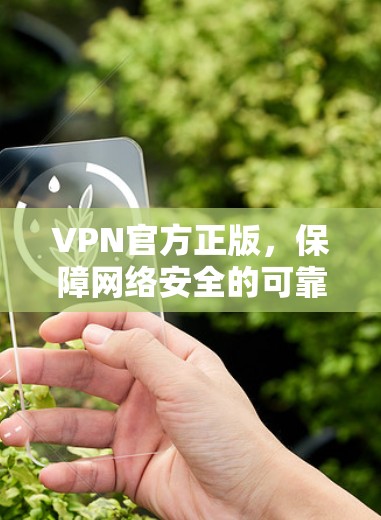 VPN官方正版，保障网络安全的可靠选择