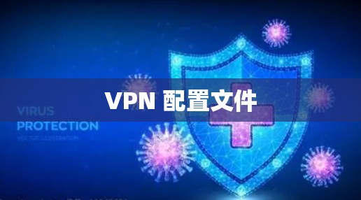 VPN 配置文件