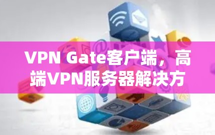VPN Gate客户端，高端VPN服务器解决方案，提供强大的加密和性能保障