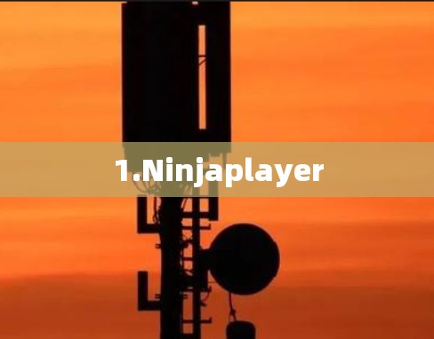 1.Ninjaplayer