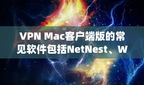 VPN Mac客户端版的常见软件包括NetNest、Wireshark、Kermit和Sentry等。以下是它们的官网链接和使用场景