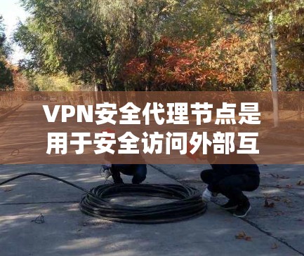VPN安全代理节点是用于安全访问外部互联网资源的中间节点。在使用时，需要采取以下步骤确保安全