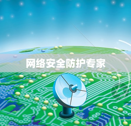 网络安全防护专家