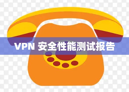 VPN 安全性能测试报告