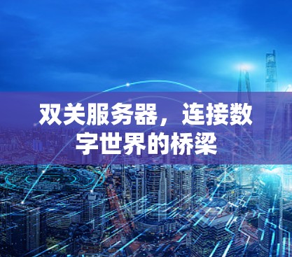 双关服务器，连接数字世界的桥梁
