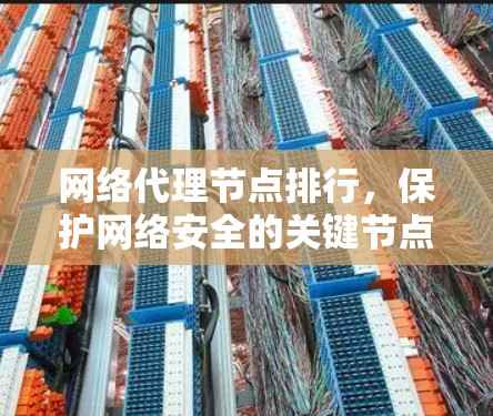 网络代理节点排行，保护网络安全的关键节点