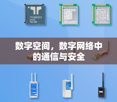 数字空间，数字网络中的通信与安全