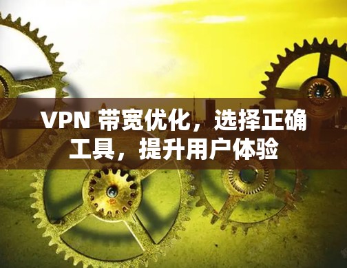 VPN 带宽优化，选择正确工具，提升用户体验