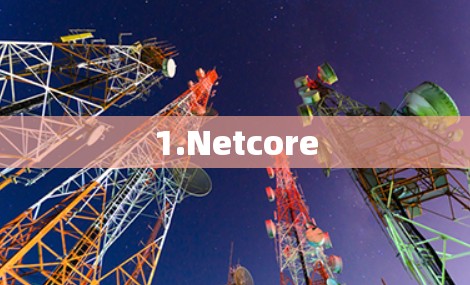 1.Netcore