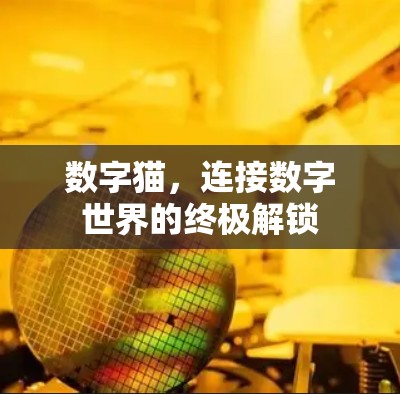 数字猫，连接数字世界的终极解锁
