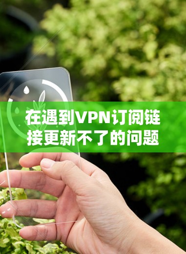 在遇到VPN订阅链接更新不了的问题时，可以按照以下步骤进行处理
