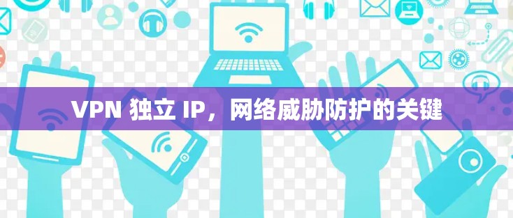 VPN 独立 IP，网络威胁防护的关键
