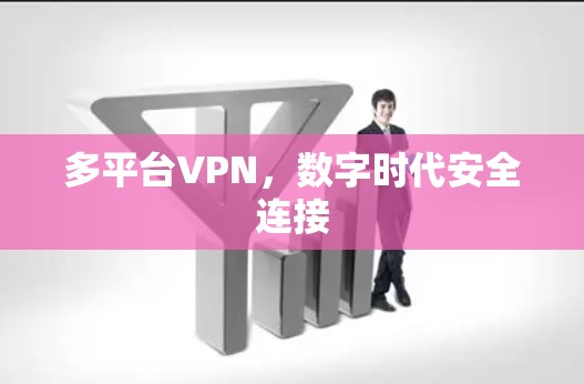 多平台VPN，数字时代安全连接