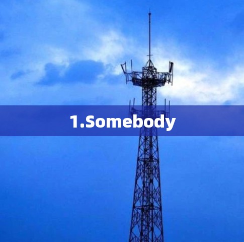 1.Somebody
