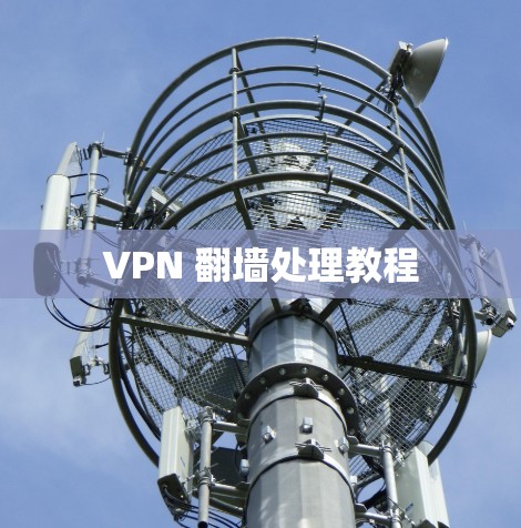 VPN 翻墙处理教程