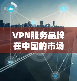 VPN服务品牌在中国的市场中是多样的，以下是一些主要的VPN服务品牌