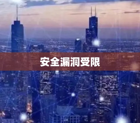 安全漏洞受限