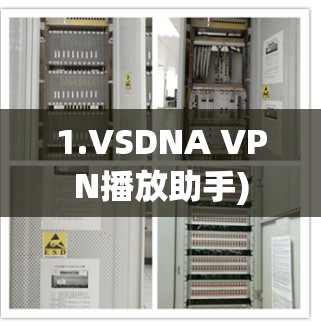 1.VSDNA VPN播放助手)