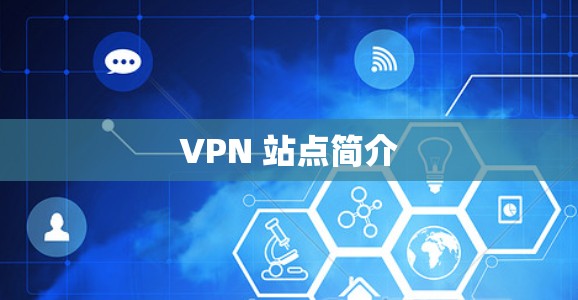 VPN 站点简介