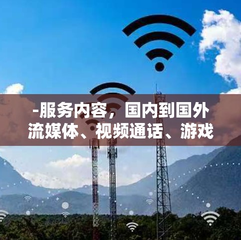 -服务内容，国内到国外流媒体、视频通话、游戏下载