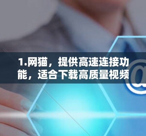 1.网猫，提供高速连接功能，适合下载高质量视频和流媒体