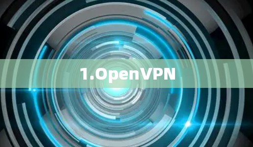 1.OpenVPN