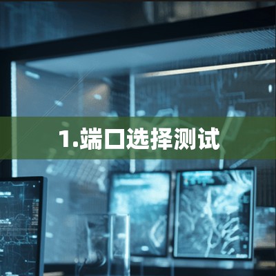 1.端口选择测试