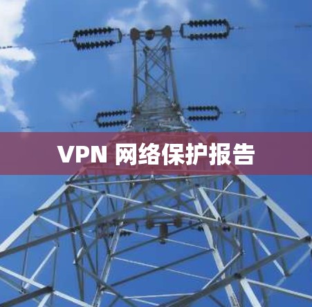 VPN 网络保护报告