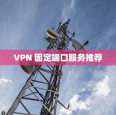 VPN 固定端口服务推荐