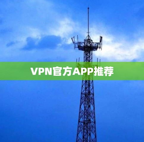 VPN官方APP推荐