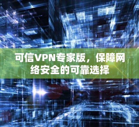 可信VPN专家版，保障网络安全的可靠选择