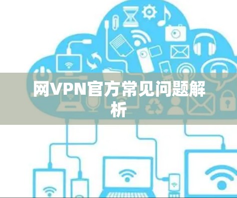 网VPN官方常见问题解析
