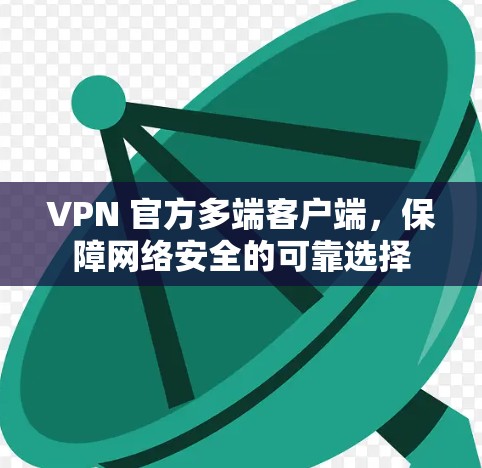 VPN 官方多端客户端，保障网络安全的可靠选择