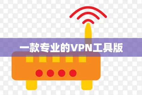 一款专业的VPN工具版