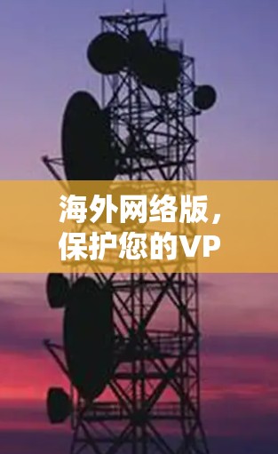 海外网络版，保护您的VPN网络