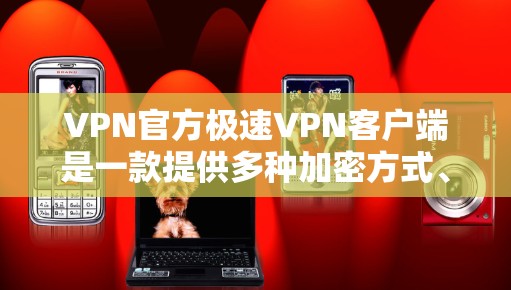 VPN官方极速VPN客户端是一款提供多种加密方式、支持多语言和长时间使用的VPN应用。它以其安全性和用户体验而闻名，适合需要高效 VPN 使用的用户