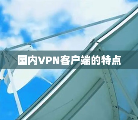 国内VPN客户端的特点