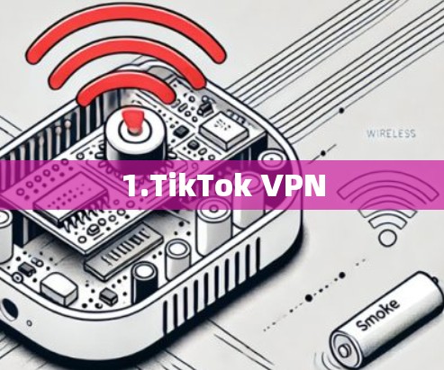 1.TikTok VPN