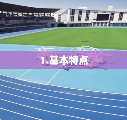 1.基本特点