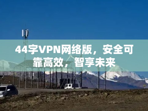 44字VPN网络版，安全可靠高效，智享未来