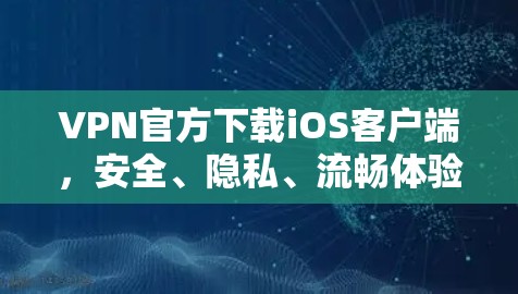 VPN官方下载iOS客户端，安全、隐私、流畅体验推荐